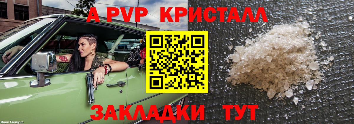 Alfa_PVP СК КРИС Курск