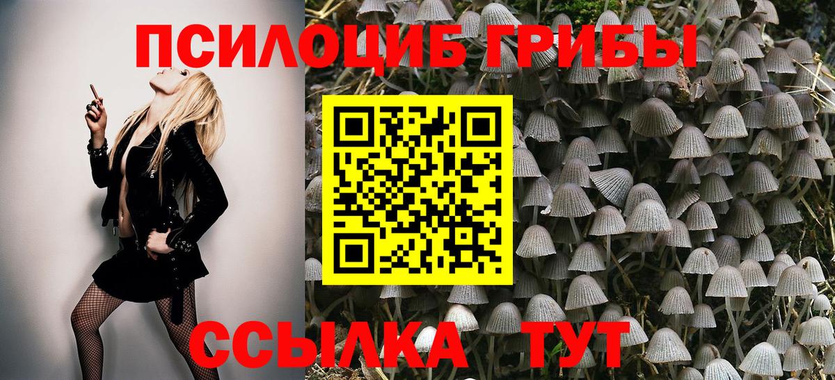 Курск  Галлюциногенные грибы Psilocybe  Вход с VPN  Галлюциногенные грибы Psilocybine cubensis 
