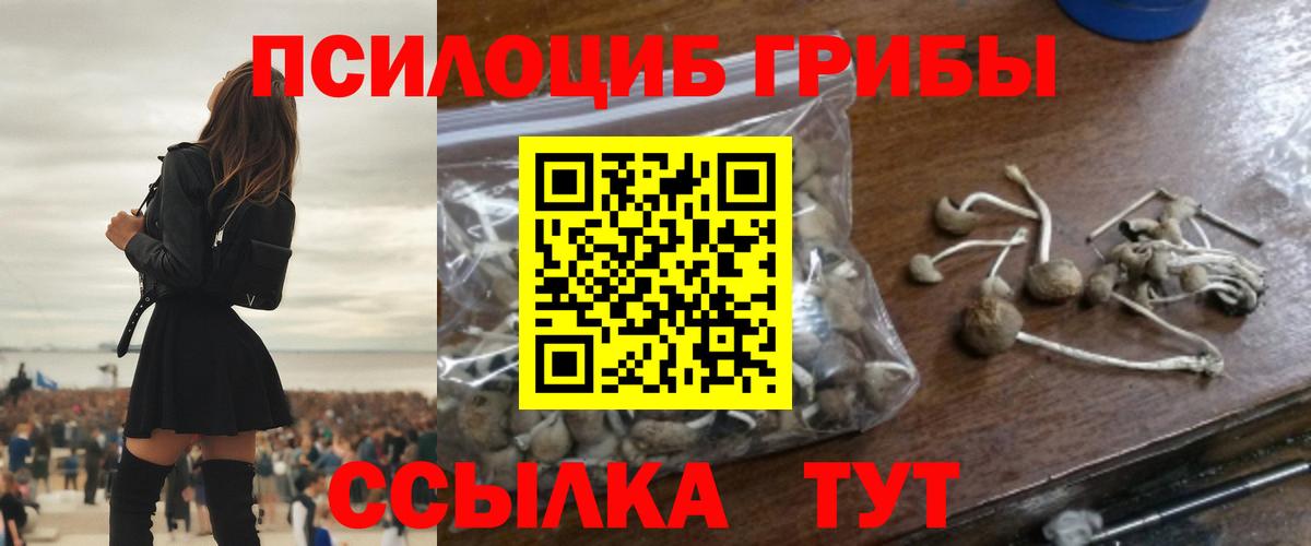 Курск  Экстази  Вход с VPN  Меф кристаллы  Гашиш  MDMA  Конопля 